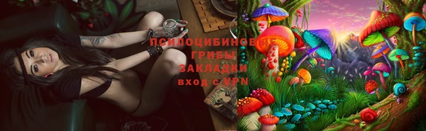 кокаин перу Михайлов