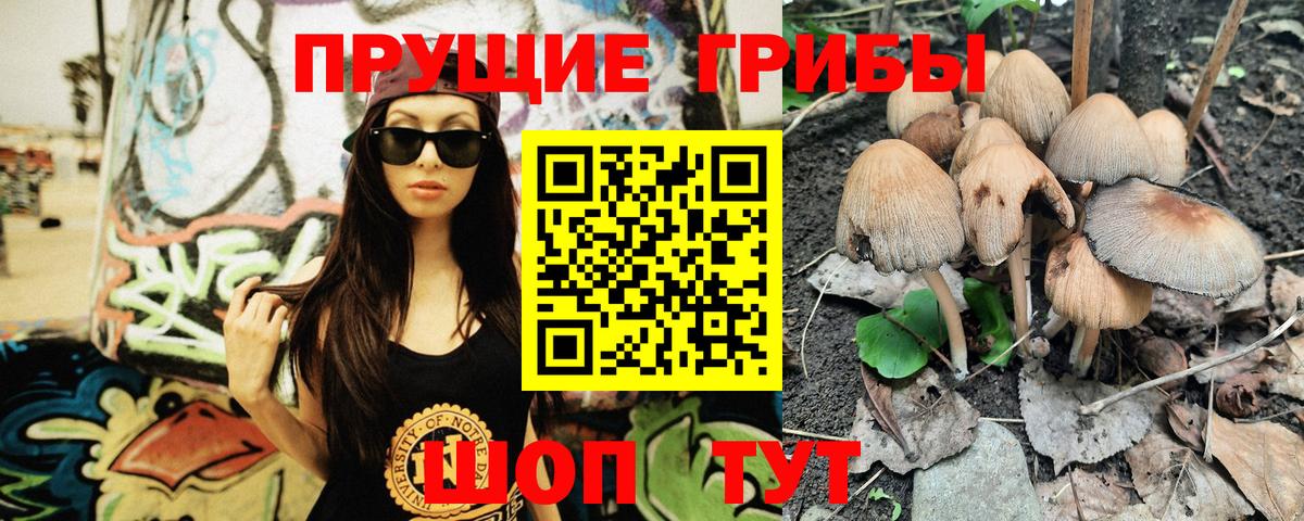 Балашов  Галлюциногенные грибы мицелий  Вход с VPN 