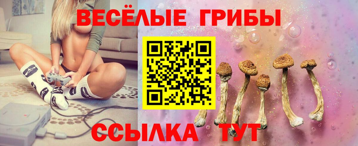 Псилоцибиновые грибы MAGIC MUSHROOMS Балашов