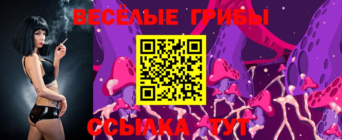 Псилоцибиновые грибы Cubensis  Балашов 