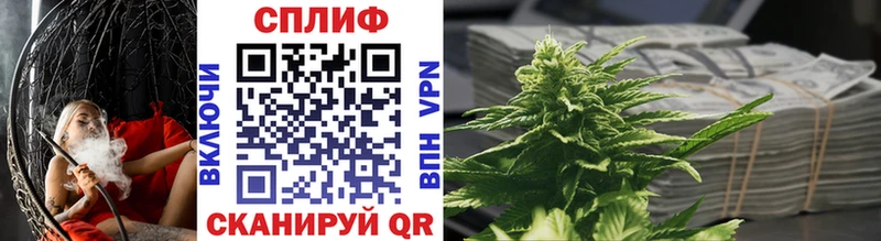 наркотики  Балашов  Канабис Ganja 